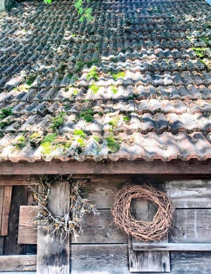 Gasthaus Birke Hotel Kirchzarten Bagian luar foto